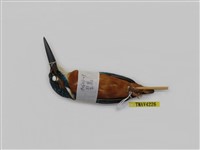 藏品(翠鳥)的圖片